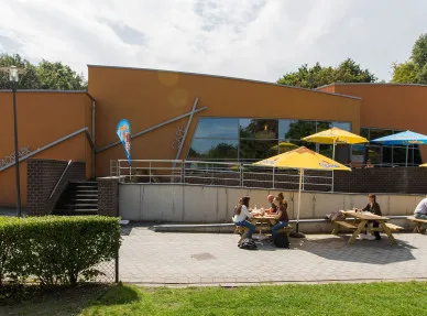 terras turnhout